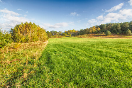 Landscape autumn with colorful trees, autumn Poland, Europe and amazing blue sky with clouds, sunny dayの写真素材