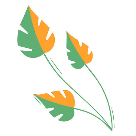 Vector plant monstera leaf of green and yellow color on a white backgroundのイラスト素材