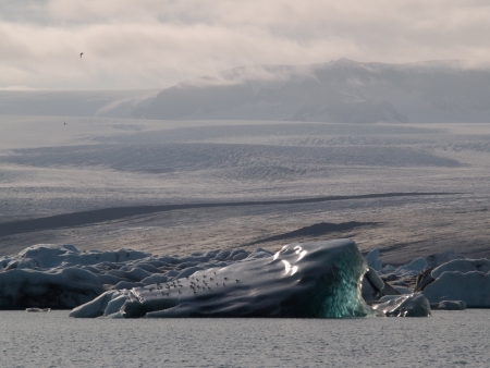 Ice burgs float on the sea in front of a mountain range.の写真素材