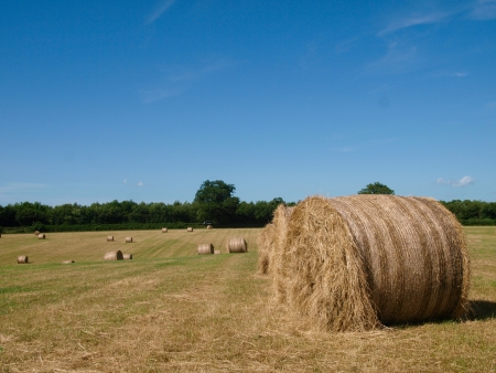 A field full of round bales of hay under a big blue sky.の写真素材