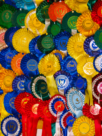 A collection of horse show rosettes.の写真素材