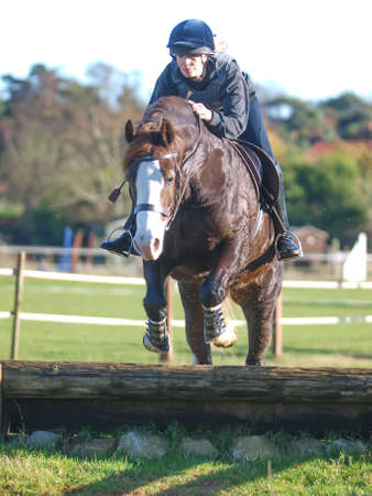 A rider schooling her Welsh Cob horse over a cross country fence.のeditorial素材
