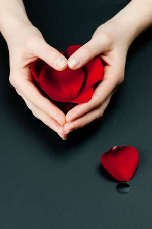 A young white womans hands are holding red rose petals and shaped to resemble a heart. One petal is isolated to one side along with a teardrop. isolated on black.の写真素材