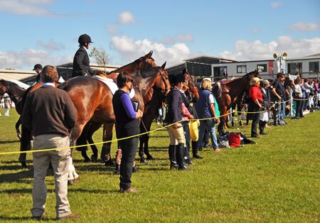 Christchurch, New Zealand - November 16, 2012: Equestrian horses, riders and supporters eagerly watch the show jumping action at The 2012 Canterbury A&P Show.のeditorial素材