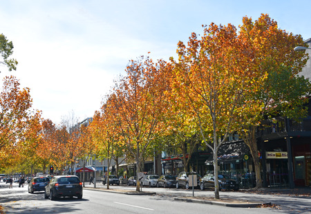 Melbourne, Australia - May14, 2014: Autumn in Lygon Street, Melbourne's premier restaurant and cafe area.のeditorial素材