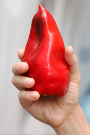 The one pepper in one hand.の写真素材