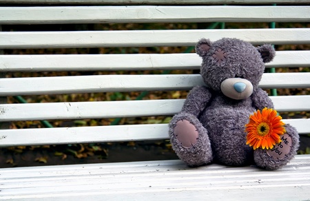 Teddy bear on a bench