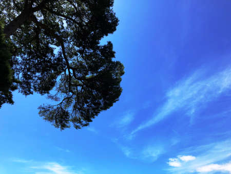 Skyの写真素材