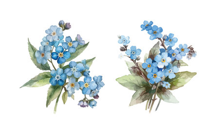 Forget me not flower clipart, isolated vector illustration.のイラスト素材