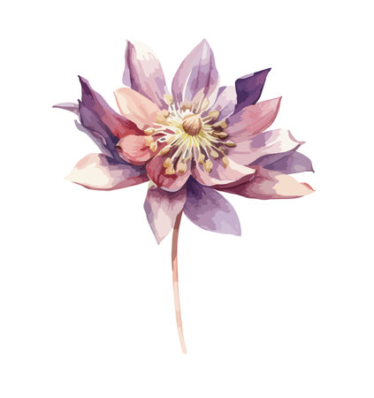 Aquilegia flower clipart, isolated vector illustration.のイラスト素材
