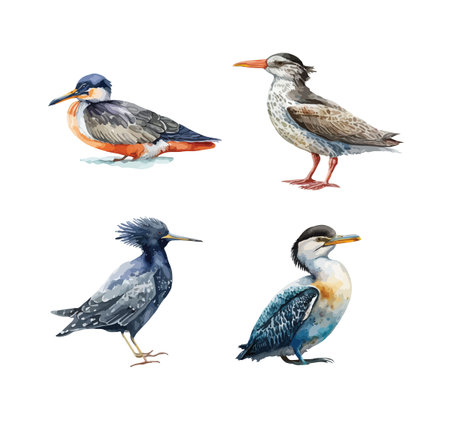 Sea ââbirds clipart, isolated vector illustration.のイラスト素材