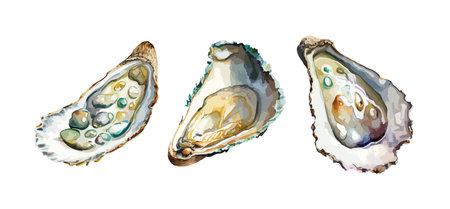 Oysters clipart, isolated vector illustration.のイラスト素材