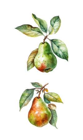 Pear clipart, isolated vector illustration.のイラスト素材