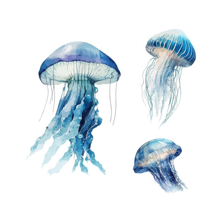 Jellyfish clipart, isolated vector illustration.のイラスト素材