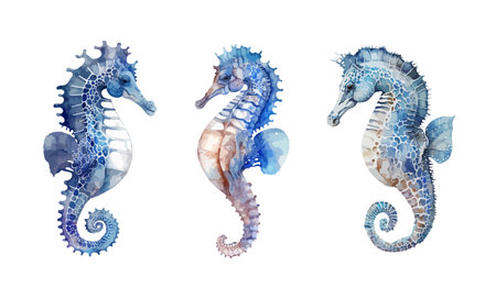Sea horse clipart, isolated vector illustration.のイラスト素材