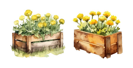 Box of dandelions clipart, isolated vector illustration.のイラスト素材