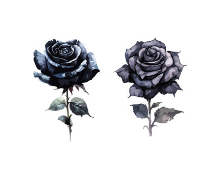 Gothic black rose clipart, isolated vector illustration.のイラスト素材