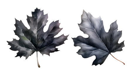 Gothic leaf watercolor clipart illustration with isolated backgroundの素材
