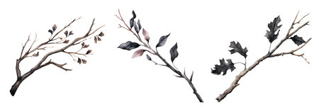 Gothic leaf watercolor clipart illustration with isolated backgroundの素材