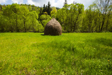 Haystack in Carpathian mountains in summer, Ukraineの写真素材