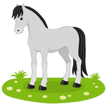 vector illustration gray horseのイラスト素材