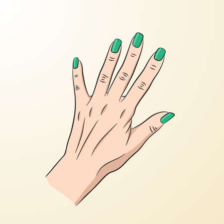 A female hand with green nails. Contour drawing. Vector illustration.のイラスト素材