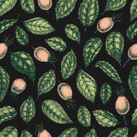 Wild rose flowers drawing and sketch with pointillism on black backgrounds. Vintage pattern of branch with rosehip fruits and leaves.のイラスト素材