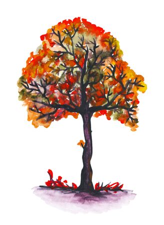 Watercolor autumn treeの写真素材