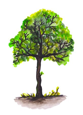 Watercolor green treeの写真素材