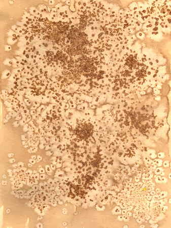 Aged paper texture. Design element for backgrounds, scrapbooking, webの写真素材