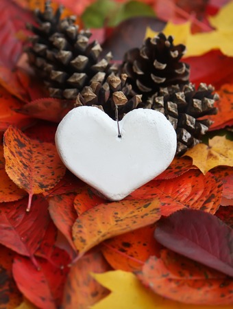 Decorative handmade heart on colorful autumn leavesの写真素材