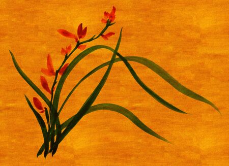 Watercolor colorful garden floral elements for summer design, botanical collection.の写真素材