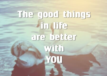 Gift card with two swans. Valentine's Day. Creative festive backgroundの写真素材