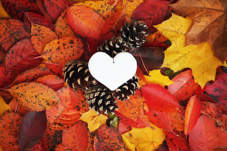 Decorative handmade heart on colorful autumn leavesの写真素材