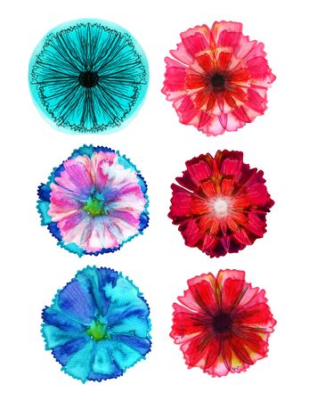 Watercolor colorful garden floral elements for summer design, botanical collection.の写真素材