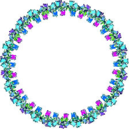 Hand drawn  illustration. Floral frame with curly decorative motifs.の写真素材