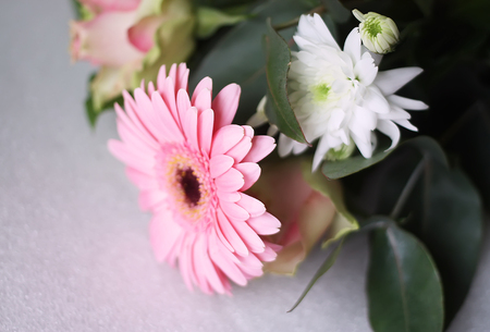 Bouquet of fresh flowers with a pink gerbera and roseの写真素材