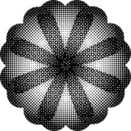 Ornament black white card with mandala. Geometric circle element made in vector.の写真素材