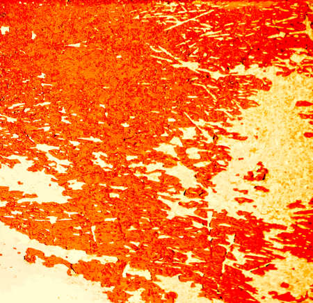 Abstract grunge background. Design element for web, scrapbooking, bannersの写真素材