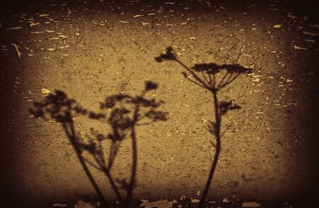 Abstract grunge background. Design element for web, scrapbooking, bannersの写真素材