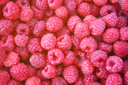 Raspberry background. Ripe red berries close up.