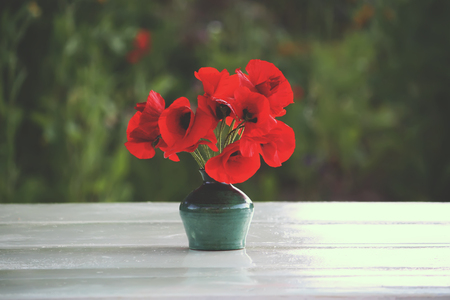 Poppy flower in a summer garden in sunlight close upの写真素材