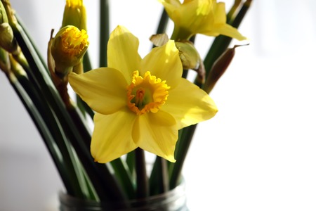 Bright little bouquet of spring fresh flowersの写真素材