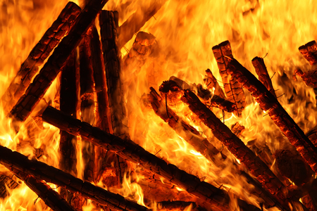 Bright bonfire flame outdoors. Firewood and wooden sticks burning in fire.