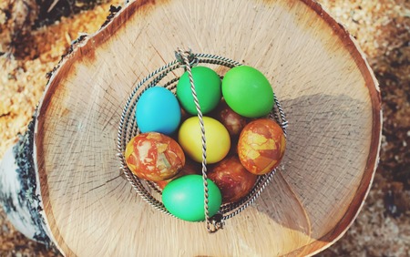 Bright colorful Easter eggs in a basket on birch tree stumpの写真素材