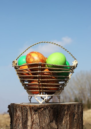 Bright colorful Easter eggs in a basket on birch tree stumpの写真素材