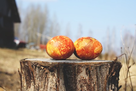 Two bright colorful Easter eggs on the tree stump outdoors on spring nature background