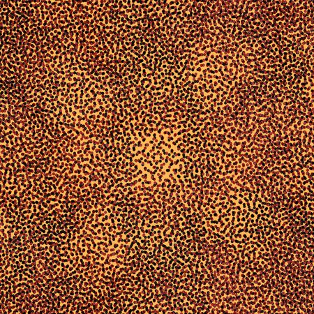 Abstract monochromatic grunge dotted background, design element. Vector illustration.の写真素材