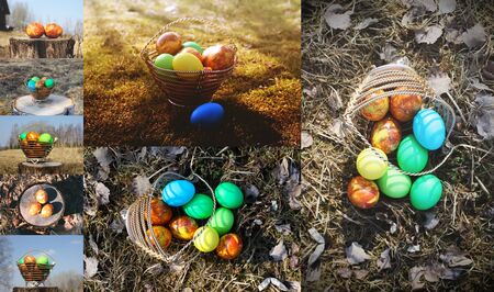 Easter collage with colorful eggs on nature background