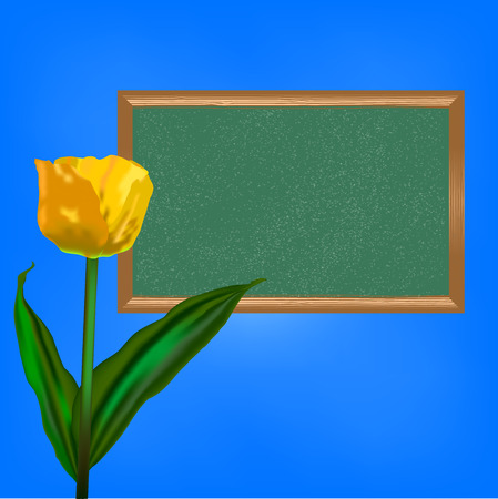 Chalkboard with yellow tulip flower on blue bright background.のイラスト素材